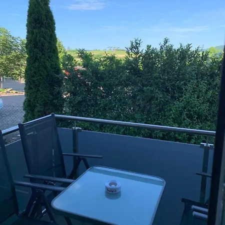 Gergert Nr4 Loewenstein